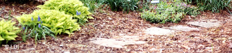 flagstone
